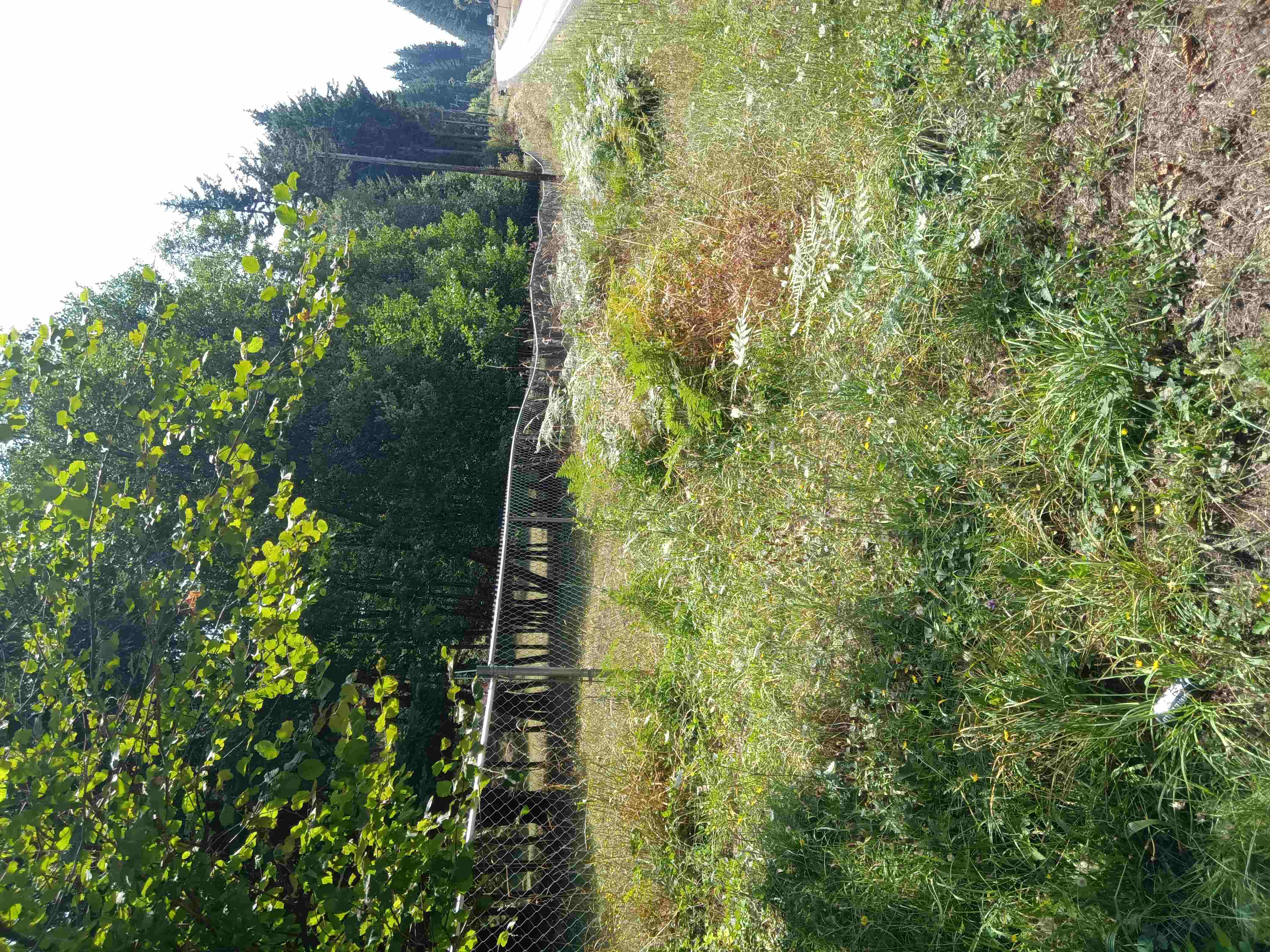 Property Perimeter Chain Link Fencing Installation